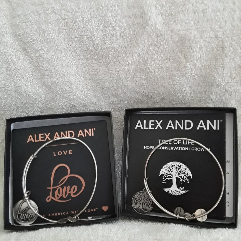 Alex and Ani Charm Bracelets - Set of Two - NIB